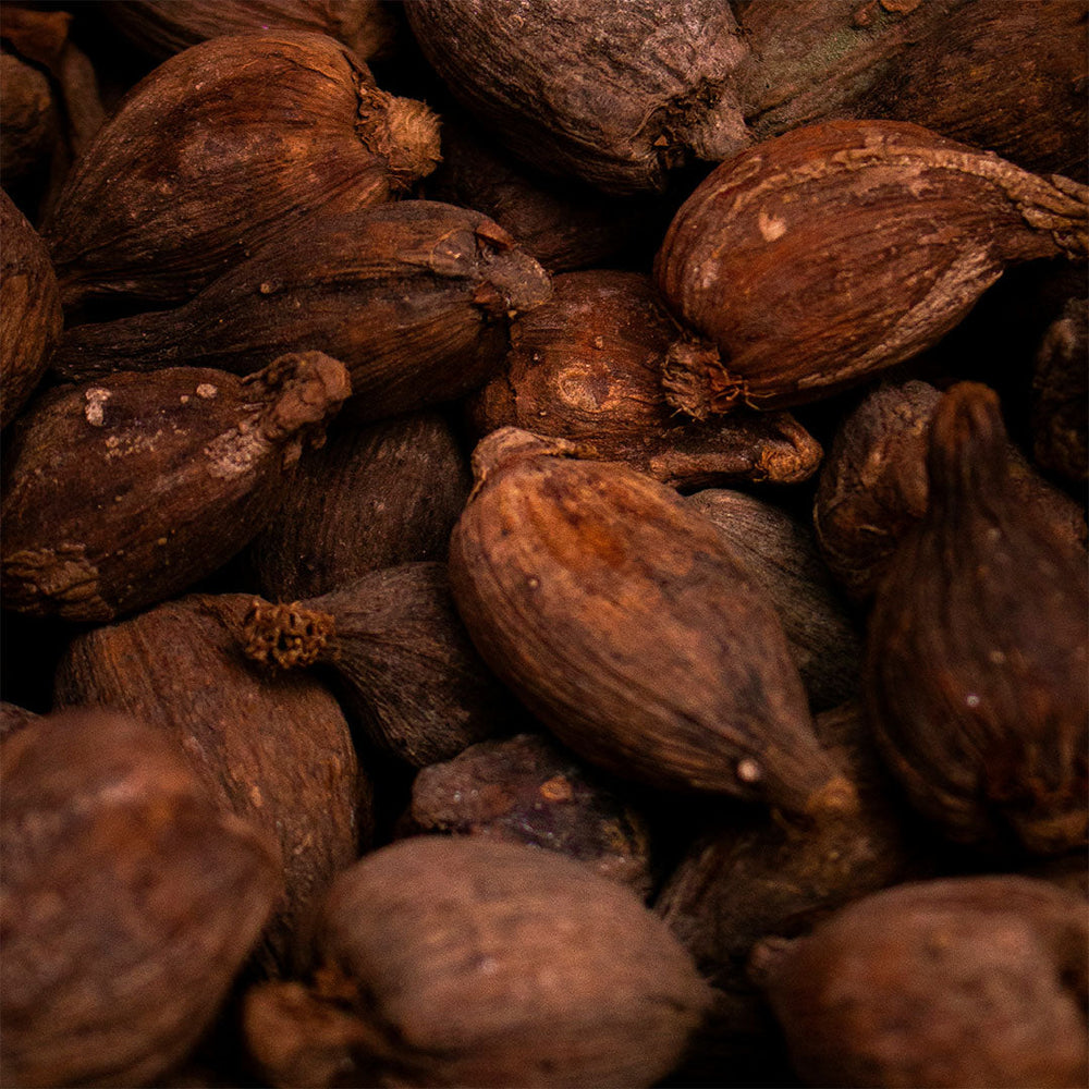 Cacao