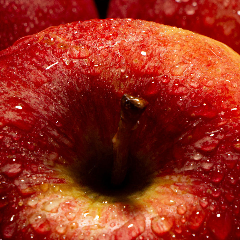 Inulina de manzana