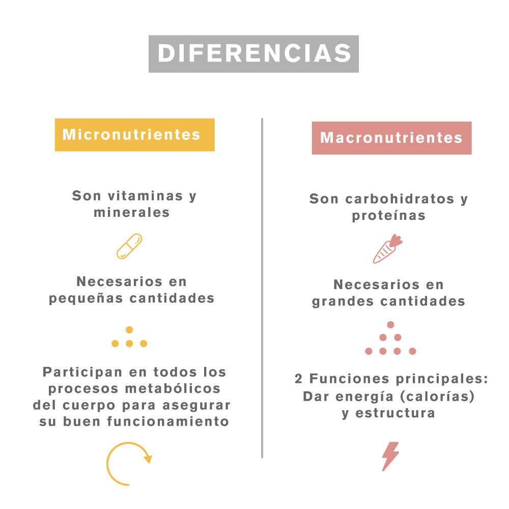 Ya sabes que tu cuerpo necesita nutrientes para mantenerse sano, pero…