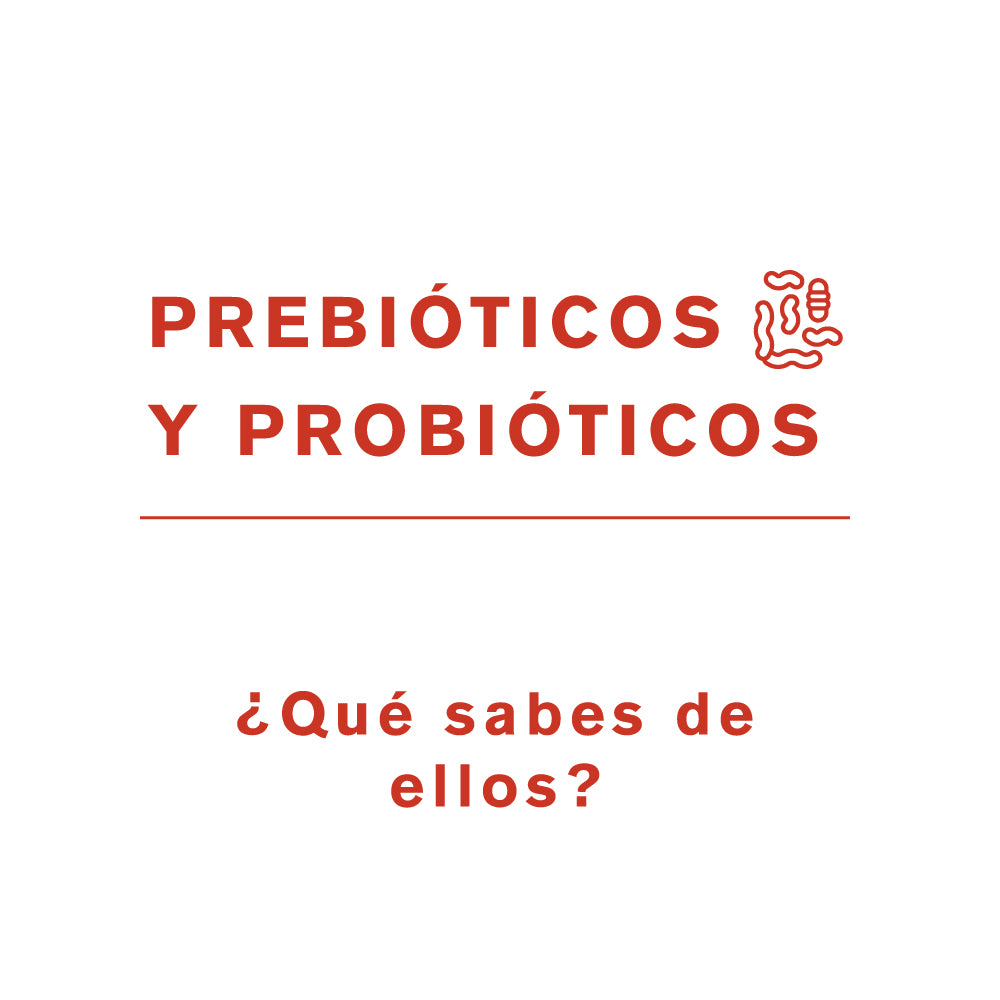 ¿Qué son los Prebióticos y Probióticos?