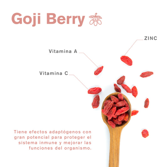 Superfood GOJI BERRY