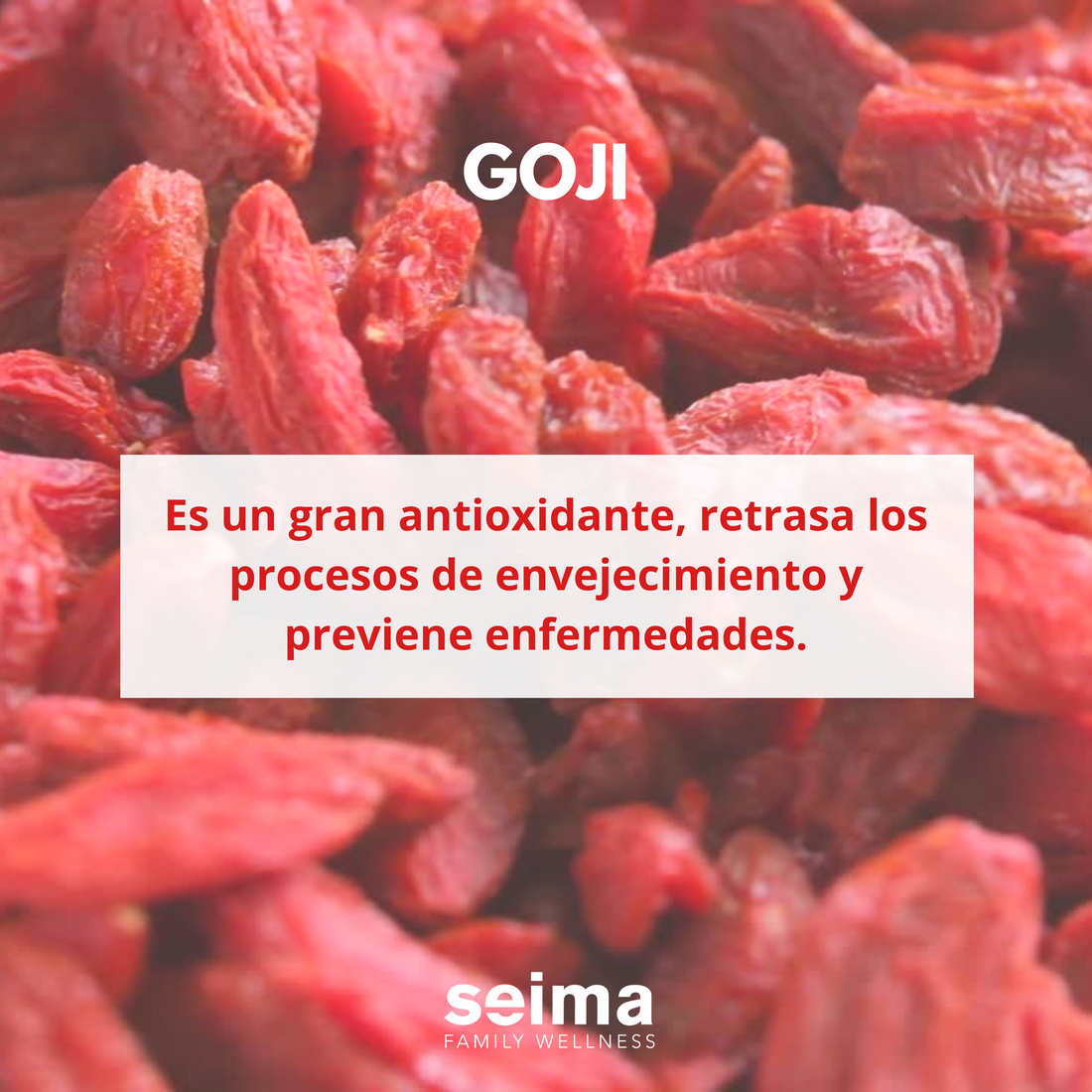 El Goji es considerado un súper alimento debido a sus grandes beneficios.