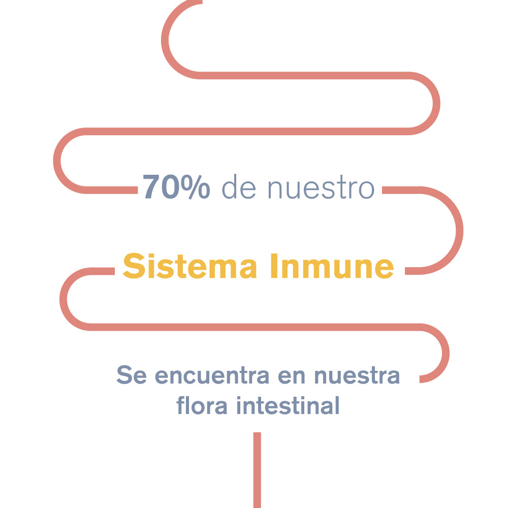 Sabías que… El 70% de nuestro sistema inmune se encuentra en nuestra flora intestinal