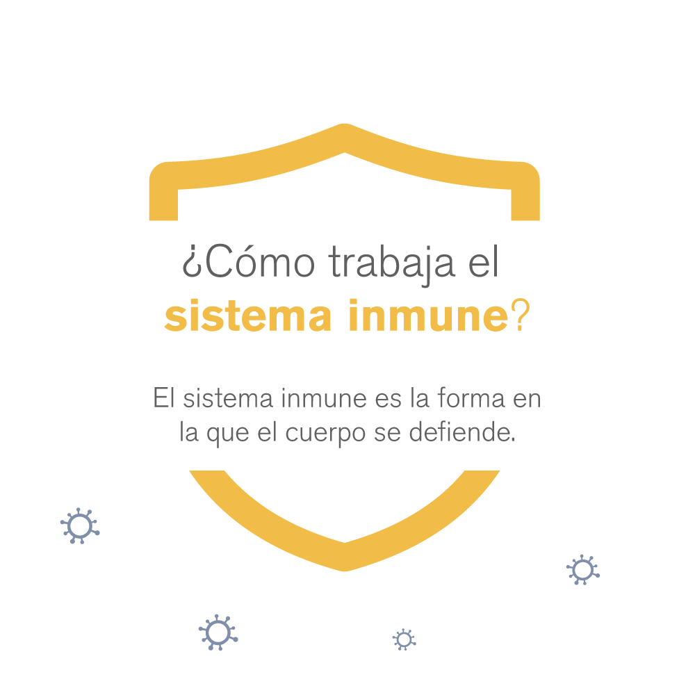 El sistema inmune es la forma en la que el cuerpo se defiende.