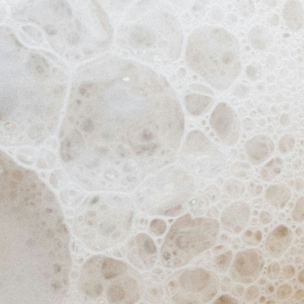 Bifidobacterium Lactis