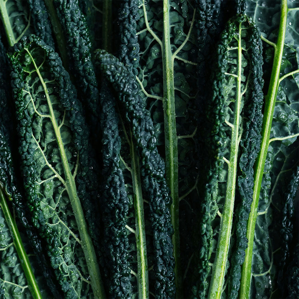 Vitamina B9