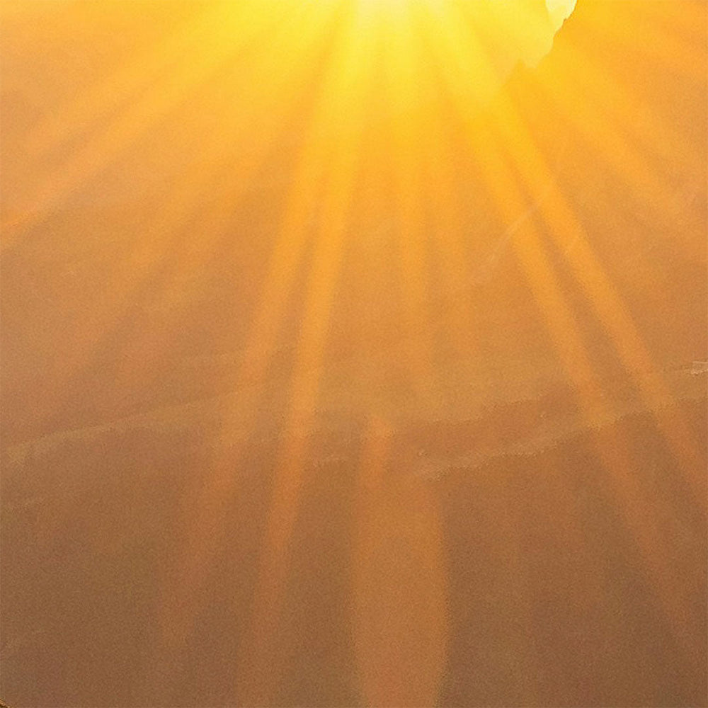 Vitamina D