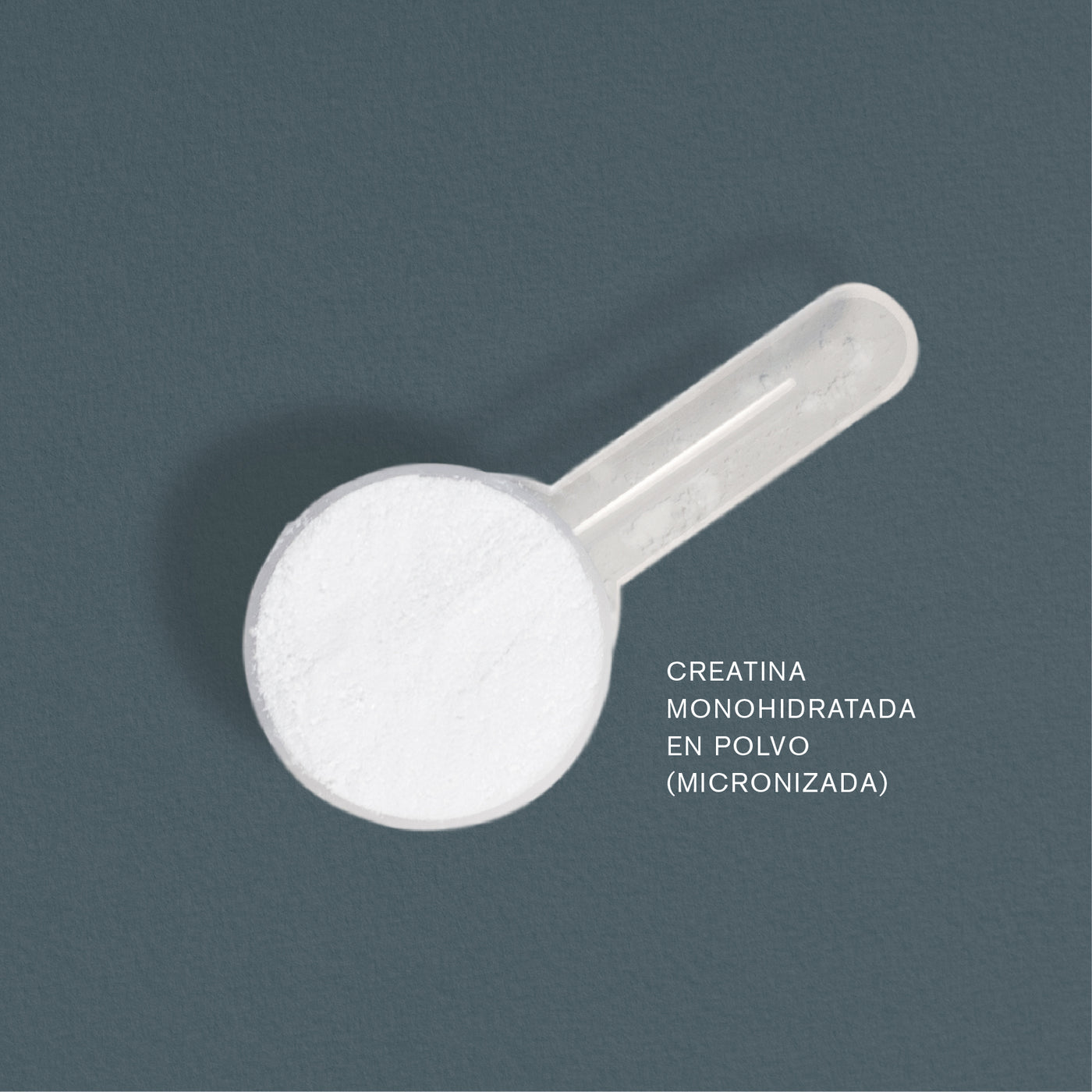 Creatina