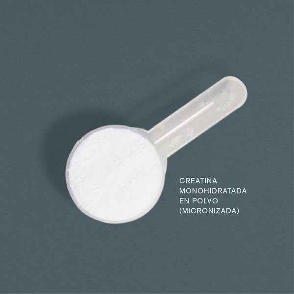 Creatina