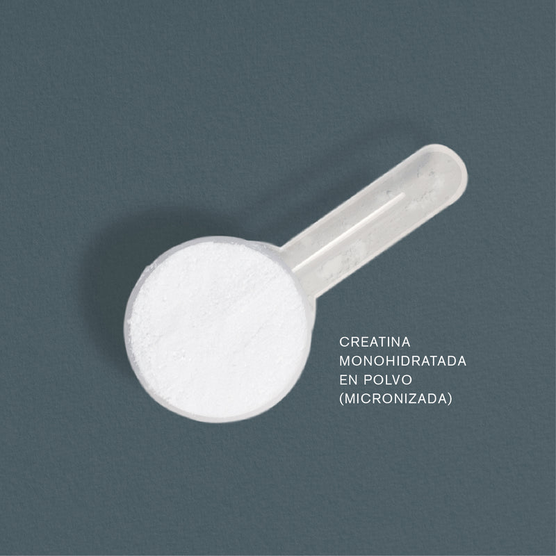 Creatina